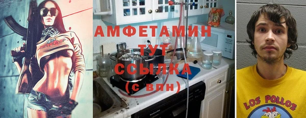 ГАЛЛЮЦИНОГЕННЫЕ ГРИБЫ Медвежьегорск
