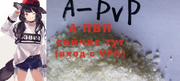 ГАЛЛЮЦИНОГЕННЫЕ ГРИБЫ Медвежьегорск