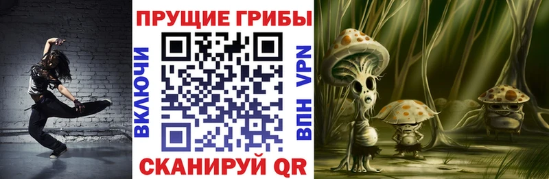 Галлюциногенные грибы MAGIC MUSHROOMS  даркнет официальный сайт  Суоярви 